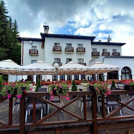 Hotel Vlasina - Vlasinsko Jezero วลาสินาริด ภายนอก รูปภาพ