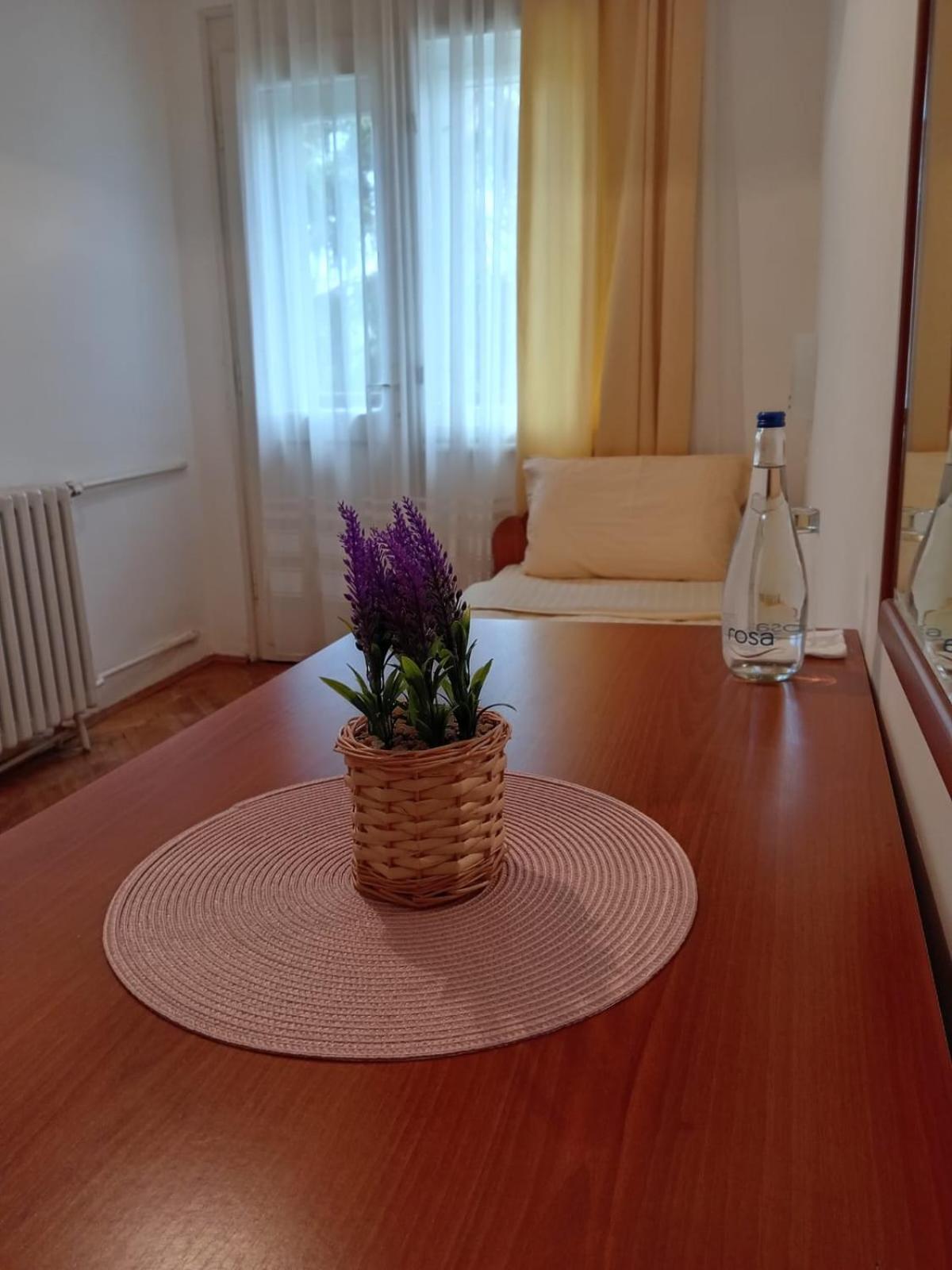 Hotel Vlasina - Vlasinsko Jezero วลาสินาริด ภายนอก รูปภาพ