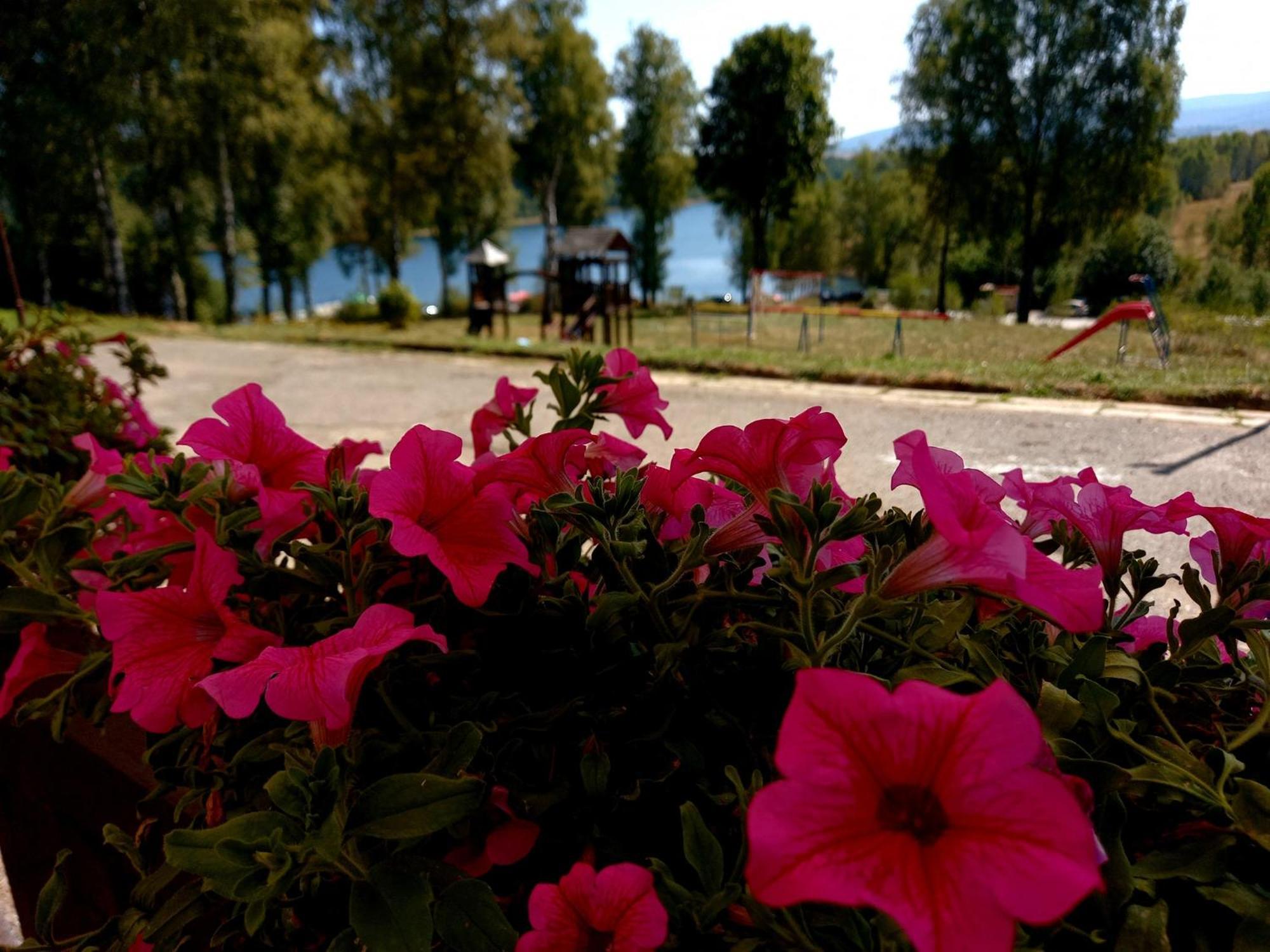 Hotel Vlasina - Vlasinsko Jezero วลาสินาริด ภายนอก รูปภาพ