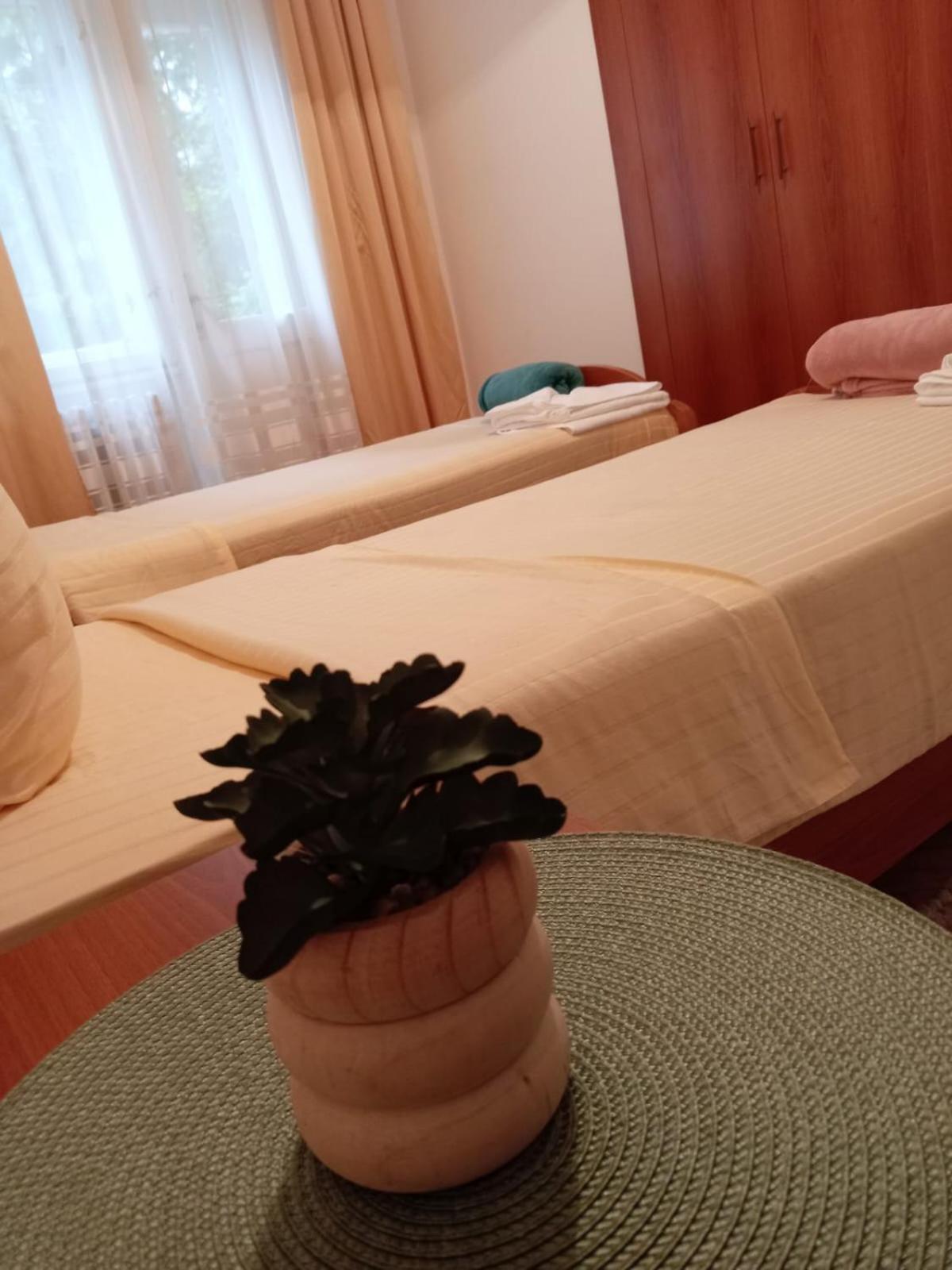 Hotel Vlasina - Vlasinsko Jezero วลาสินาริด ภายนอก รูปภาพ