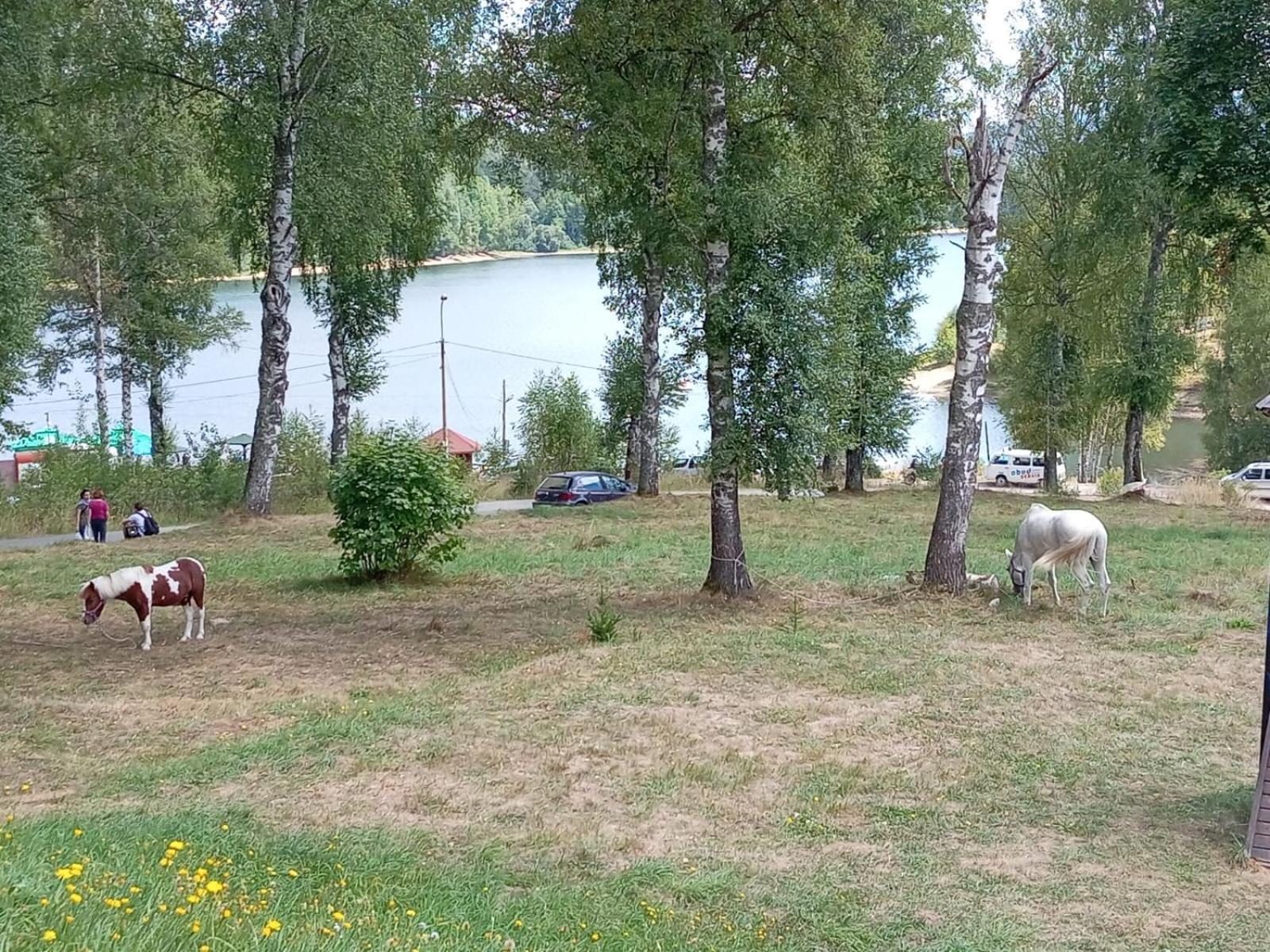 Hotel Vlasina - Vlasinsko Jezero วลาสินาริด ภายนอก รูปภาพ
