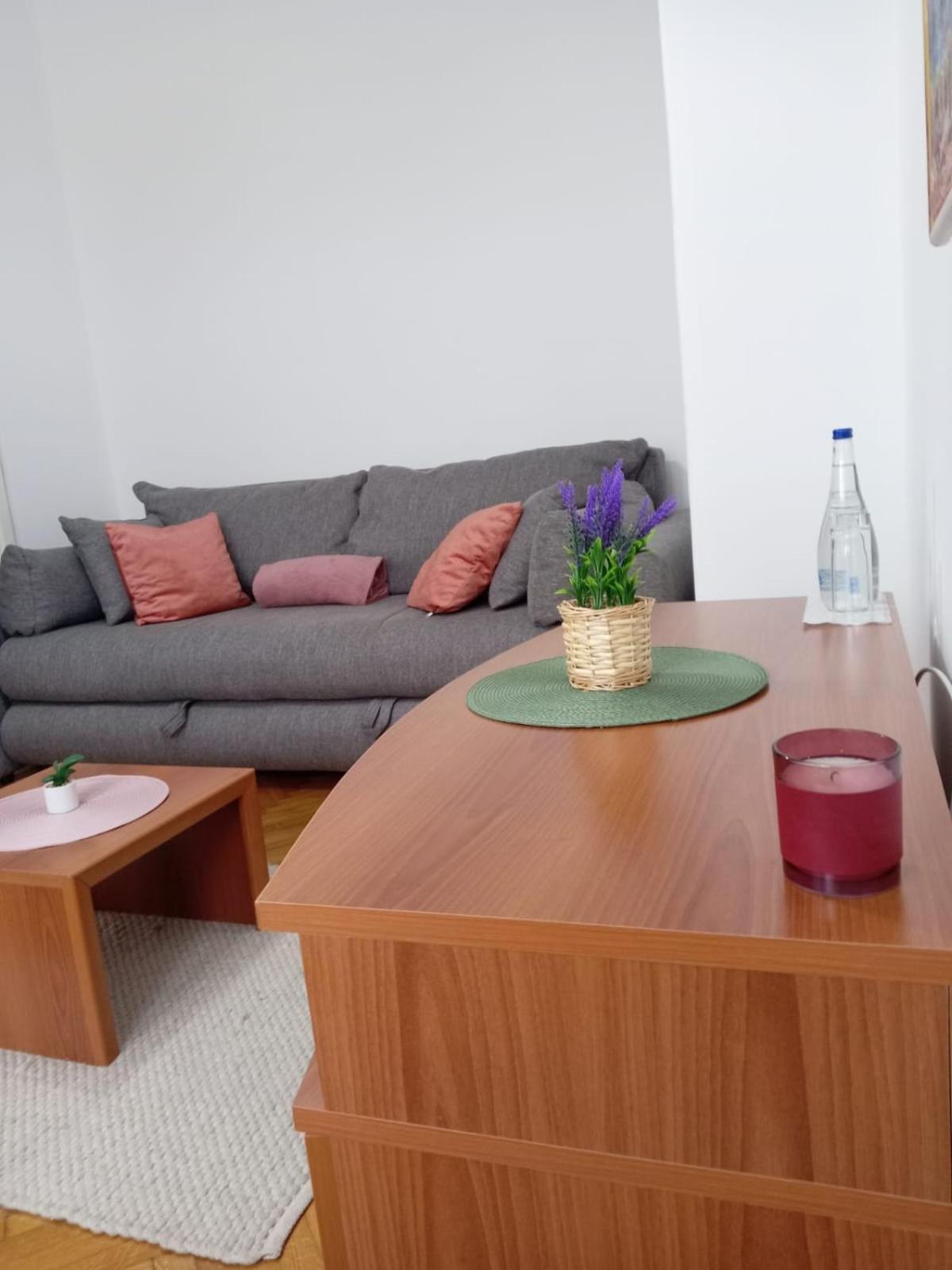 Hotel Vlasina - Vlasinsko Jezero วลาสินาริด ภายนอก รูปภาพ