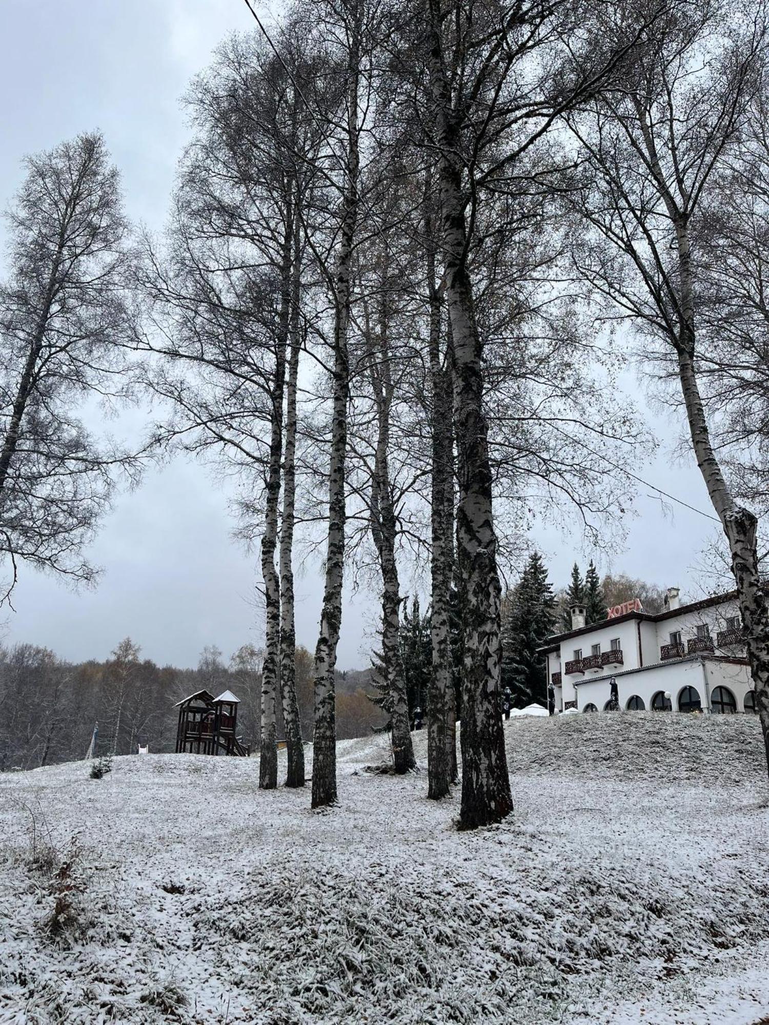 Hotel Vlasina - Vlasinsko Jezero วลาสินาริด ภายนอก รูปภาพ